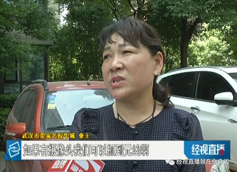 金光66430C0m最準(zhǔn)一馬中特,女子違停被叫住后罵交警缺德