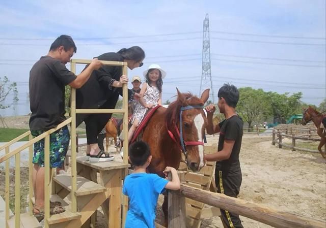 澳門資料三五圖庫大全開獎最快報碼,#爾濱已經(jīng)把冰馬俑安排上了#