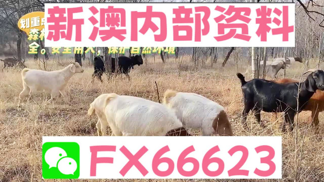 新澳今天最新資料晚上四不象,DeepSeek回答如何過好這一生